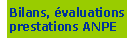bilans valuations prestations ANPE